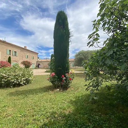 Magnificent Flat In The Heart Of Lavender Fields - 8-9 People * Brunet