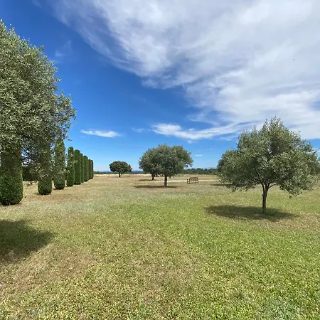Magnificent Flat In The Heart Of Lavender Fields - 8-9 People * Brunet