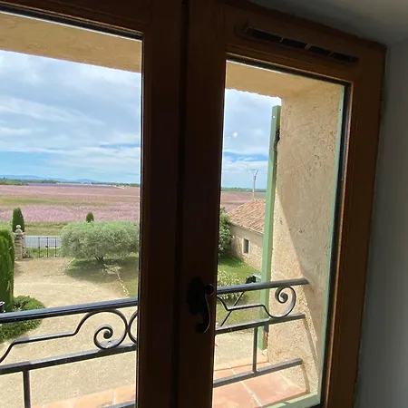 Magnificent Flat In The Heart Of Lavender Fields - 8-9 People