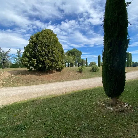 Magnificent Flat In The Heart Of Lavender Fields - 8-9 People * Brunet